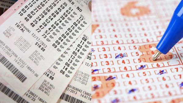 6 வருஷமாக ஒரே எண்ணை லாட்டரியில் வாங்கிய பெண்ணுக்கு இன்ப அதிர்ச்சி! இப்போ கோடிக்கு அதிபதி