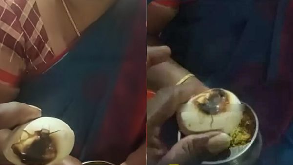 தீஞ்ச முட்டையை குழந்தைக்கு தந்த கன்னியாகுமரி அரசு அங்கன்வாடி ஊழியர்! 