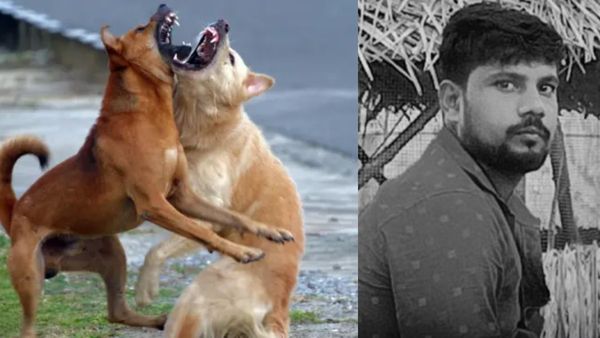 தெருநாய் கடித்ததில் நெல்லை இளைஞர் உயிரிழப்பு.. ரேபிஸ் தொற்று.. மனைவிக்கும் தடுப்பூசி