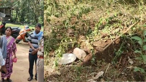 இப்படியும் நடக்குமா? சொந்த மகனையே நரபலி கொடுத்த பெற்றோர்? உடலை தோண்டியெடுத்து உடற்கூராய்வு