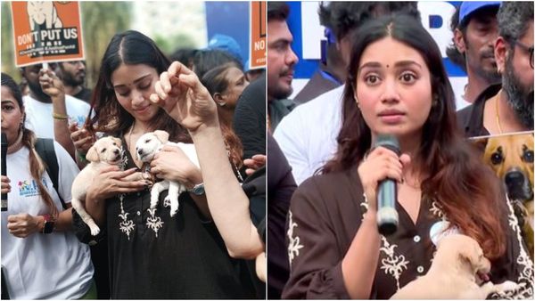 தெரு நாய்களை பாதுகாப்பது அரசின் கடமை.. அதற்குதானே ஓட்டு போட்டோம்.. கொந்தளித்த நிவேதா பெத்துராஜ்!