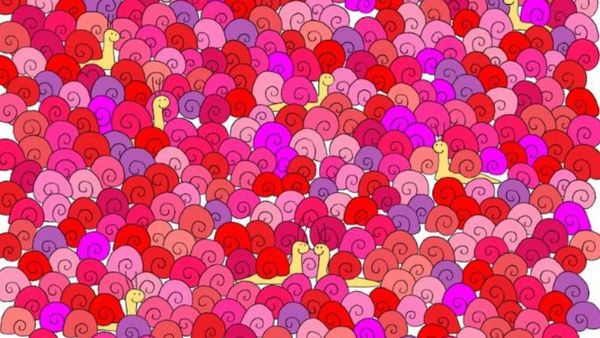 படத்தில் ”ஹார்ட்” எங்கே இருக்கு? 6 செகண்ட் டைம்.. விடையை கண்டுபிடிங்க பார்ப்போம்