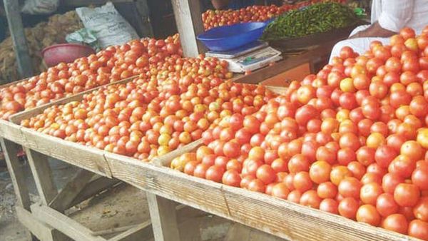 சென்னை, கோவையில் ஒரே நாளில் தலைகீழாக மாறிய தக்காளி விலை.. வியாபாரிகளையே வியக்க வைத்த மாற்றம்