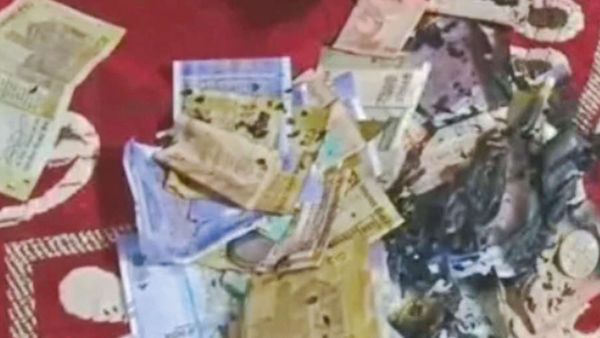 பிரபல கோயிலில் உண்டியலில் கற்பூரத்தை போட்ட பெண்.. மொத்தமாக காலியான பணம்