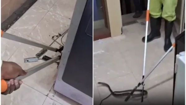 கட்டுவிரியன் பாம்பு பஞ்சாப் நேஷனல் பேங்க்கில்? ATM மிஷினை பார்த்தால்? ஆடிப்போன விருதுநகர் சிவகாசி