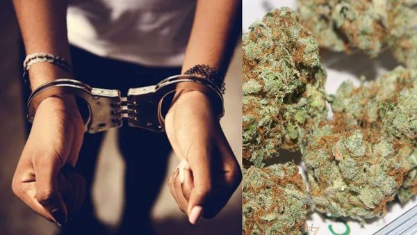 Lady Don: பேருக்கு ஐடி வேலை! மெயின் பிசினஸ் கஞ்சா! தமிழகம் டூ இலங்கை வரை சப்ளை செய்த பெண் தாதா கைது