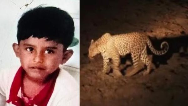 கோவையில் பயங்கரம்.. 5 வயது சிறுவனை கவ்வி சென்று கொன்ற சிறுத்தை.. வீட்டு முன் நின்றவனுக்கு நேர்ந்த சோகம்