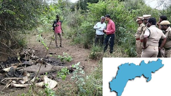 வேலூர் காட்டுக்குள் மர்மம்! பேர்ணாம்பேட்டு குட்டைக்குள் பார்த்தால் 