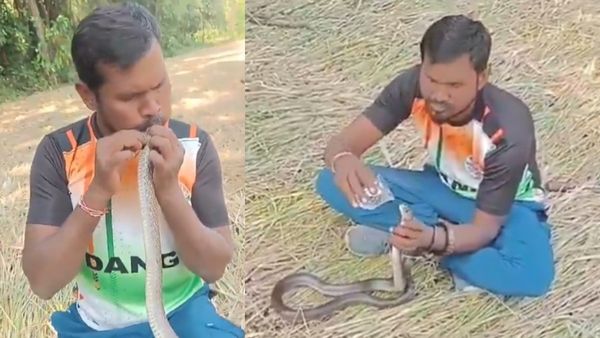 பாம்பின் வாயோடு வாய் வைத்து சுவாசம் தந்து, அசைவின்றி கிடந்த எலிப்பாம்பை உயிர்ப்பித்த நிஜ ஹீரோ முகேஷ்