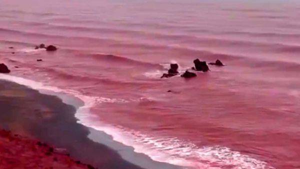 ரத்த மழை? ஈரானில் திடீரென சிவப்பு நிறமாக மாறிய கடல்! ஹார்முஸ் தீவின் கலர் மாறியது எப்படி? சுவாரசியம்