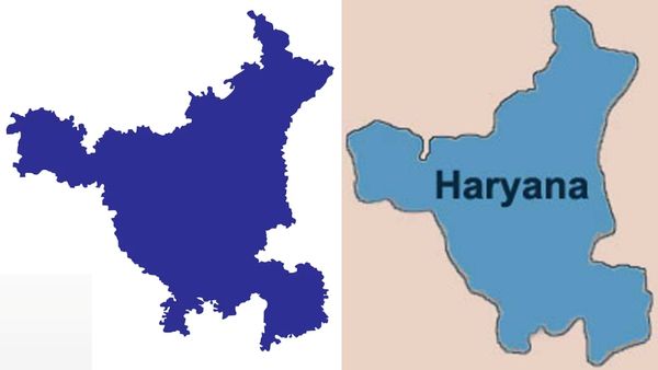 மரத்தில் 7 அடி நீளம் தொங்கிய பாம்பு.. மண் குடிசையில் அள்ள அள்ள ஆச்சரியம்.. அதென்ன மாட்டு சாணத்தில்?
