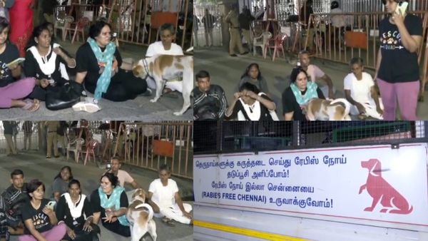நாய் என்ன பாவம் பண்ணுச்சு.. பிடிக்க விட மாட்டோம்.. ஹைகோர்ட் வாசலில் அதிகாலையிலேயே நாய்பிரியர்கள் போராட்டம்
