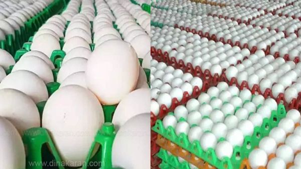 முட்டையில் கேன்சரை ஏற்படுத்தும் ரசாயனமா? பீதியில் ஆழ்த்திய தகவல்.. FSSAI கொடுத்த விளக்கம்