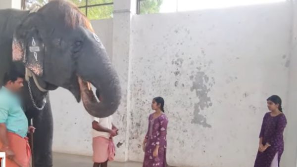 தந்தையை கொன்ற திருச்செந்தூர் கோயில் யானை! நினைவுநாளில் பாகனின் மகள்கள் செய்த செயல்! நெகிழ்ச்சி