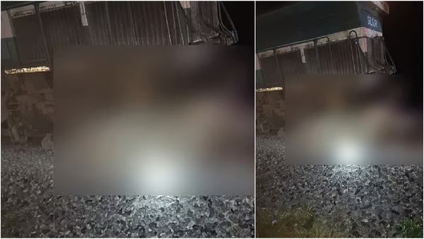 ராஜ்தானி ரயில் மோதி.. உடல் சிதறி பலியான 8 யானைகள்! அசாமில் அதிர்ச்சி