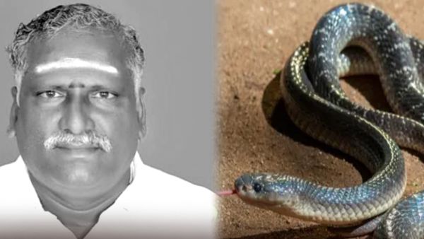 3 கோடி டேர்ம் இன்சூரன்ஸ் பணம்.. தந்தையை பாம்பை விட்டு கடிக்க வைத்த மகன்கள்.. இறுதியில் ட்விஸ்ட்