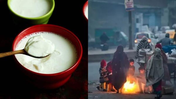 குளிர் காலத்தில் தயிர் சாப்பிடலாமா? உடலுக்கு பாதிப்பு ஏற்படுத்துமா.. இதை தெரியாமல் தொட்றாதீங்க