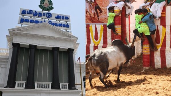 ஜல்லிக்கட்டு: வழிகாட்டு நெறிமுறைகளை வெளியிட்டது தமிழக அரசு! ஆட்சியரிடம் அனுமதி பெறுவது கட்டாயம்!
