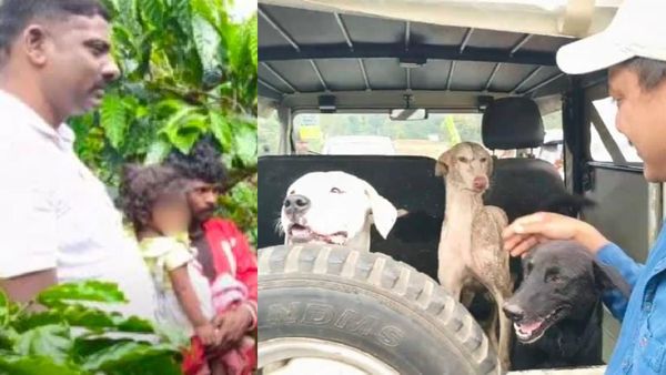 புலி நிறைந்த காட்டில் இரவு முழுதும் தவித்த 2 வயது குழந்தை.. தேடிச்சென்று மீட்ட நாய்.. திக்திக் சம்பவம்