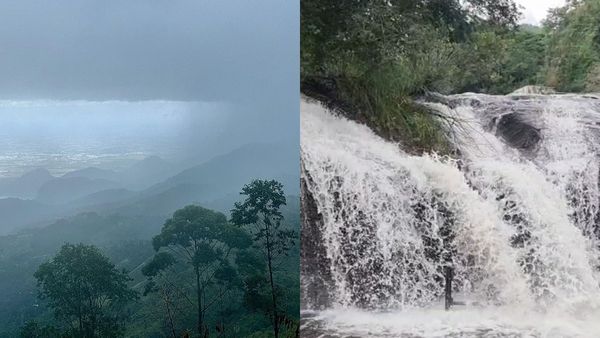 கும்பக்கரை அருவியில் குளிக்க தடை.. கொடைக்கானல் டூர் போனவர்கள் நம்பவே முடியாத அளவிற்கு மாறிய காட்சி