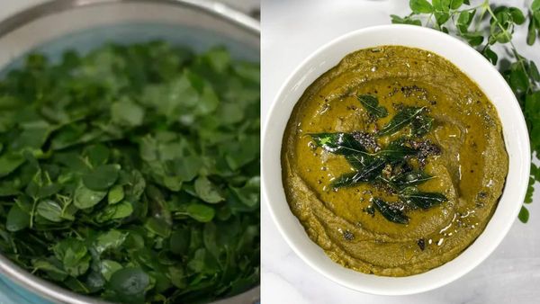 Murungaikeerai chutney recipe: இட்லி, தோசைக்கு தொட்டுக்க! முருங்கை கீரை சட்னி எப்படி செய்வது தெரியுமா?