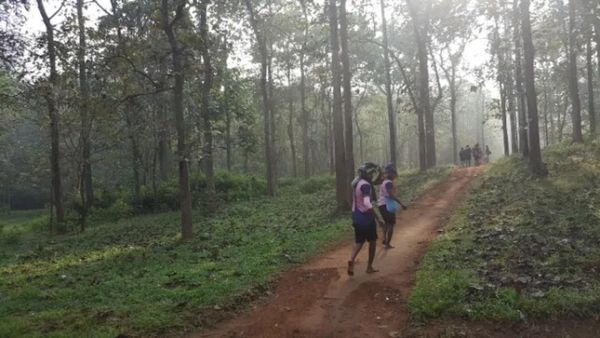 சபரிமலை பக்தர்களுக்கு ஷாக் நியூஸ்.. பெருவழிப்பாதையில் சிறப்பு பாஸ் இனி கிடையாது! தேவஸ்தானம் அதிரடி!