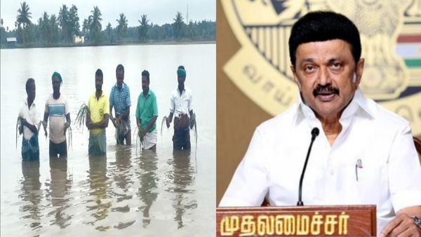 வேலையைக் காட்டிய டிட்வா.. வேதனையில் விவசாயிகள்! ஹெக்டேருக்கு ரூ.20,000 நிவாரணம் அறிவித்த அரசு!