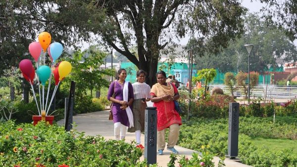 கோவை செம்மொழி பூங்காவை ஆர்வத்துடன் ரசிக்கும் பொதுமக்கள்.. சூப்பர் வசதிகள்.. நுழைவு கட்டணம் எவ்வளவு?