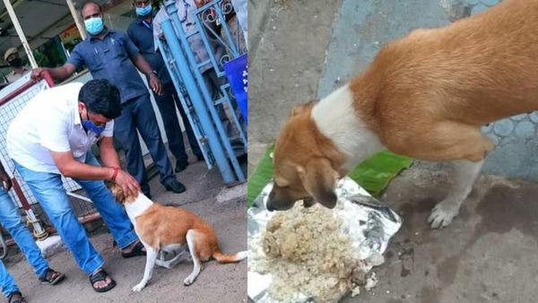 அமைச்சர் பிடிஆரின் மனிதநேயம்.. கால்முறிந்த தெருநாய்க்காக எடுத்த ரிஸ்க்.. குவியும் பாராட்டு.. பின்னணி