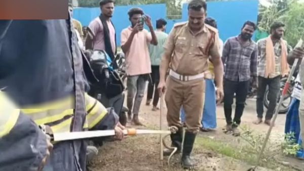 சாதாரண சத்தம்னு நினைச்சாங்க.. பைக் சீட்டை திறந்தால் நல்ல பாம்பு.. சென்னை கிட்ட மலைத்து நின்ற மக்கள்