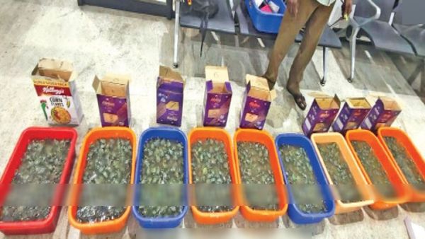 சிவப்பு காதுகள் ஆமையுடன் மதுரைக்கு வந்த விருந்தாளி பெண்.. வாழ்க்கையில் மறக்க முடியாத பரிசு