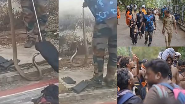 தேனி ரூட்டில் நெளியும் நாகப்பாம்பு? சபரிமலை காட்டில் 22 நாளில் பிடிபட்ட 95 பாம்புகள்! வனத்துறை சபாஷ்