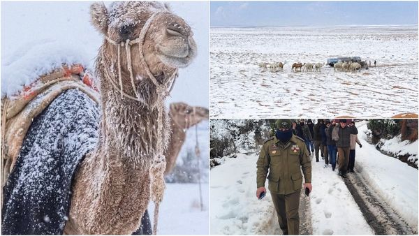 சவுதியில் எங்கு பார்த்தாலும் பனிப்பொழிவு.. காஷ்மீர் போல ஜில் ஜில் கிளைமேட்! இதற்கு என்ன காரணம்!