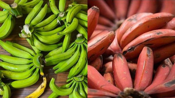 செவ்வாழை தேனியில் தந்த சர்ப்ரைஸ்.. இந்த பனியிலும் வாழை இலை, வாழைத்தார்களுக்கு மவுசு.. விலையை பாருங்க