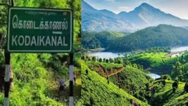 கொடைக்கானல் டூர் போறீங்களா.. குணா குகை, பைன் காடுகள் போனால் இது முக்கியம்! வனத்துறை முக்கிய முடிவு