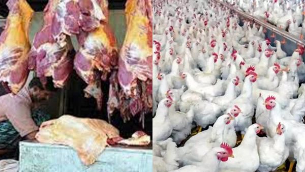 ஆட்டுக்கறி விலை மளமள உயர்வு.. ஆந்திராவை மலைக்க வைத்த மட்டன்! மதுரை, கோவையில் கோழிக்கறி ரேட் எகிறியது