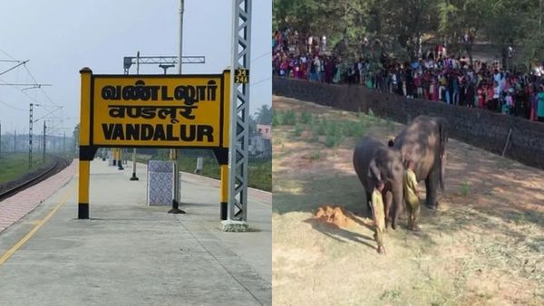 வண்டலூரில் விழுந்த சூப்பர் சர்ப்ரைஸ்.. உயிரியல் பூங்காவில் இத்தனை வசதிகளா? சுற்றுலா பயணிகளுக்கு ஜாலி