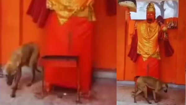 ஹனுமனையே வட்டமாக சுற்றி வந்த விநோத நாய்.. 5 நாள் சாப்பிடல! கோயிலுக்குள் நடந்த ஆச்சரியம்! அமானுஷ்யம்