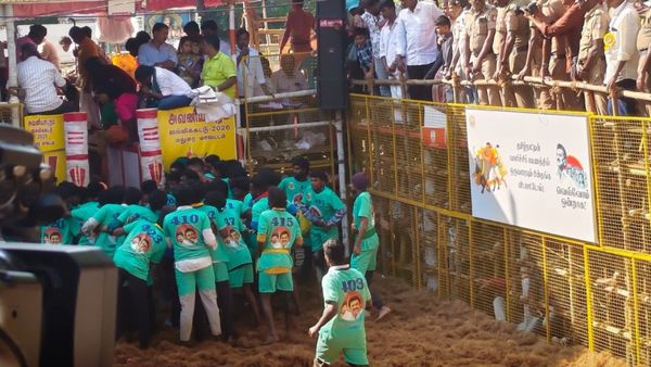 Avaniyapuram Jallikattu: விறுவிறுப்பாக நடந்துவரும் அவனியாபுரம் ஜல்லிக்கட்டு.. 16 காளைகளை அடக்கி கார்த்தி முதலிடம்!
