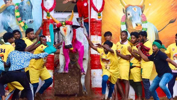 ஜல்லிக்கட்டு வழக்கில் 9 ஆண்டுகளுக்கு பிறகு தீர்ப்பு! 57 பேரை விடுதலை செய்தது மதுரை மாவட்ட நீதிமன்றம்