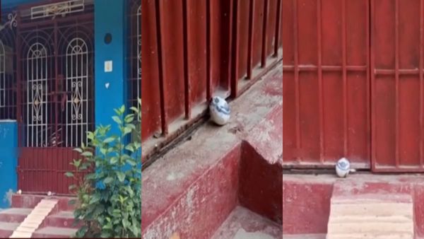 வேலூரில் வீட்டு வாசலில் தெரிந்த காட்சி... முட்டைக்குள் உருவம்... கிட்ட பார்த்து ஆடிப்போன குடியாத்தம்