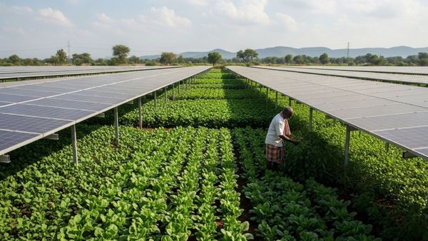 காலி இடத்தில் காசு கொட்டப் போகுது! ஒரே கல்லில் ரெண்டு மாங்காய்! தமிழக அரசின் அசத்தலான ஐடியா!