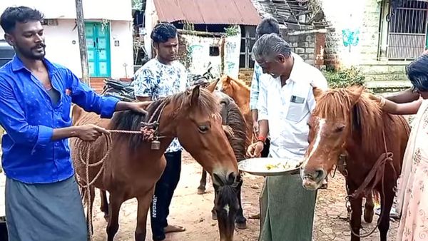 மாட்டுக்கு மட்டும் தான் பொங்கலா? மாற்றி யோசித்த மலைக்கிராம மக்கள்! குதிரைப் பொங்கல் வைத்து வழிபாடு!