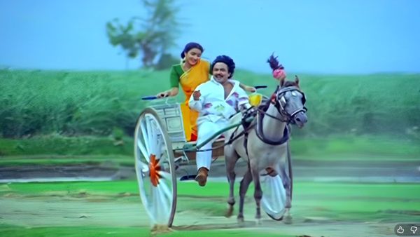 தோப்பில் விசுவை துரத்திய தேனீ.. சின்ன மாப்ளை மாட்டு வண்டி பாட்டு ரகசியத்தை உடைத்த சுகன்யா! பலே நடிகை