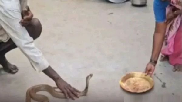 நல்ல பாம்பை வணங்கும் சென்னை இருளர் பெண்கள்.. வீட்டு வாசலில் வந்ததுமே பரவசம்.. தலையில் அதென்ன மஞ்சளா