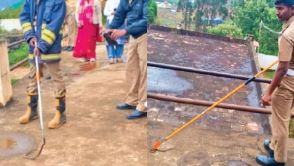 ராஜநாகம் 12 அடி நீலகிரியில்.. பந்தலூரில் பாம்பு மழை! அரசு பள்ளியில் குபுகுபுவென புகுந்த 16 பாம்புகள்