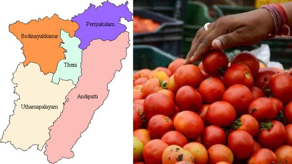 இல்லத்தரசிகளுக்கு குட் நியூஸ்.. தக்காளி விலை பாருங்க! தேனி மக்கள் மட்டும் கவலையில் இருக்காங்களே? ஏன்