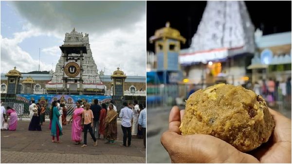 திருப்பதி லட்டில் மாட்டு கொழுப்பு எதுவும் இல்லை.. உறுதி செய்த சிபிஐ! குற்ற பத்திரிக்கையில் தகவல்