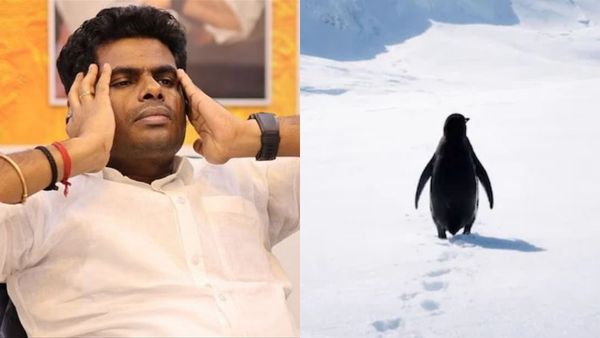 சில நேரங்களில் ஒற்றை பென்குயின் போல் இருப்பதில் தவறில்லை! அண்ணாமலை பஞ்ச்! என்ன சொல்ல வராரு?