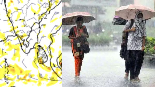 ”மழையும் விடாது.. பனியும் விடாது” அடுத்த ஒரு வாரம் தமிழகத்தில் கிளைமேட் இப்படித்தான்.. வானிலை மையம்